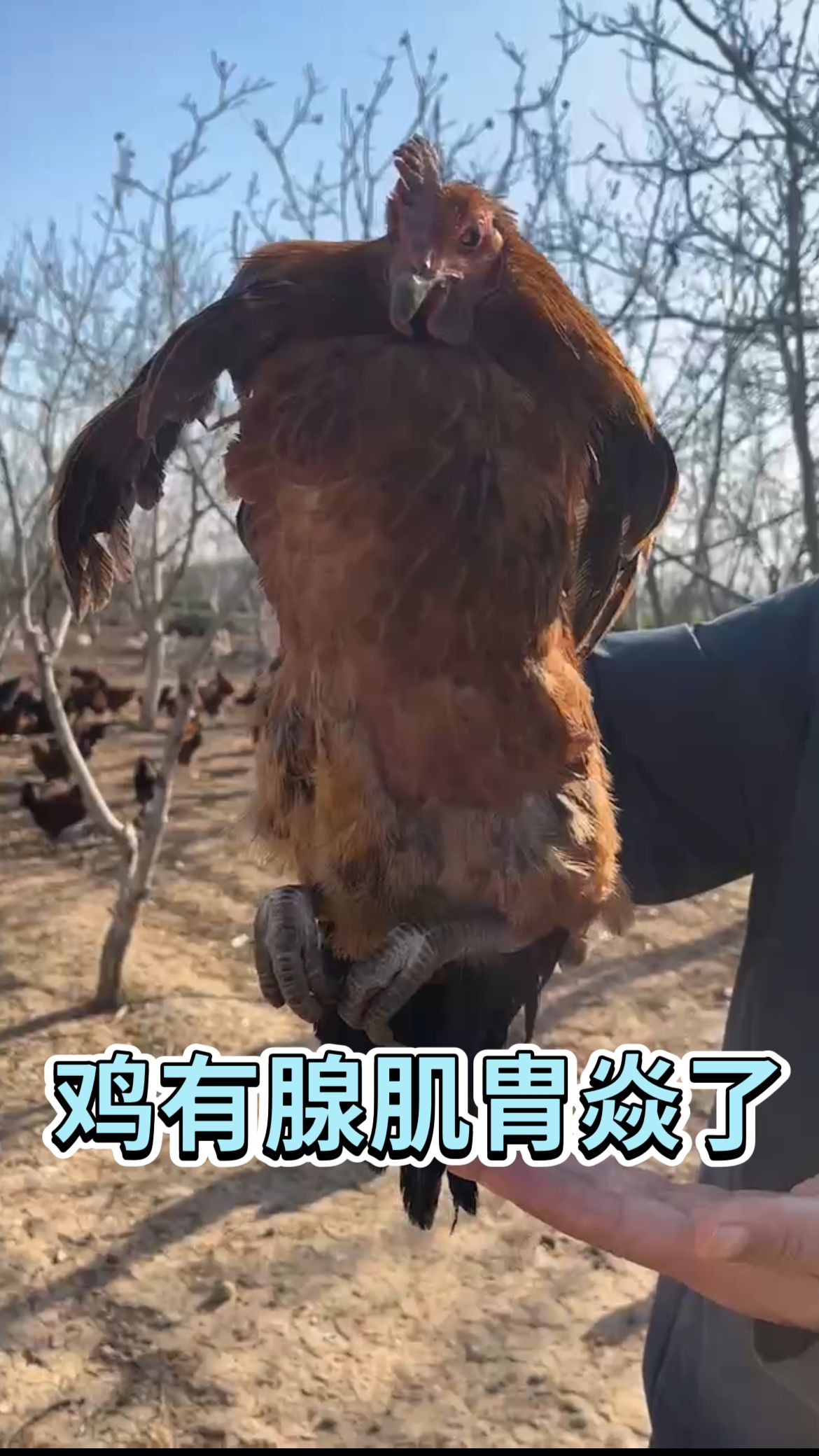 https://static.ixuenong.com/pxn/uploads/prod/thirdfile/2025/05/c1ac996938f4cba21590e7df07a8dc70.jpg