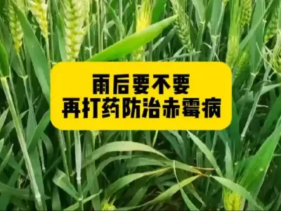 #ũ#ũ˼ƻ2022 #ũҵ˻ũҵ