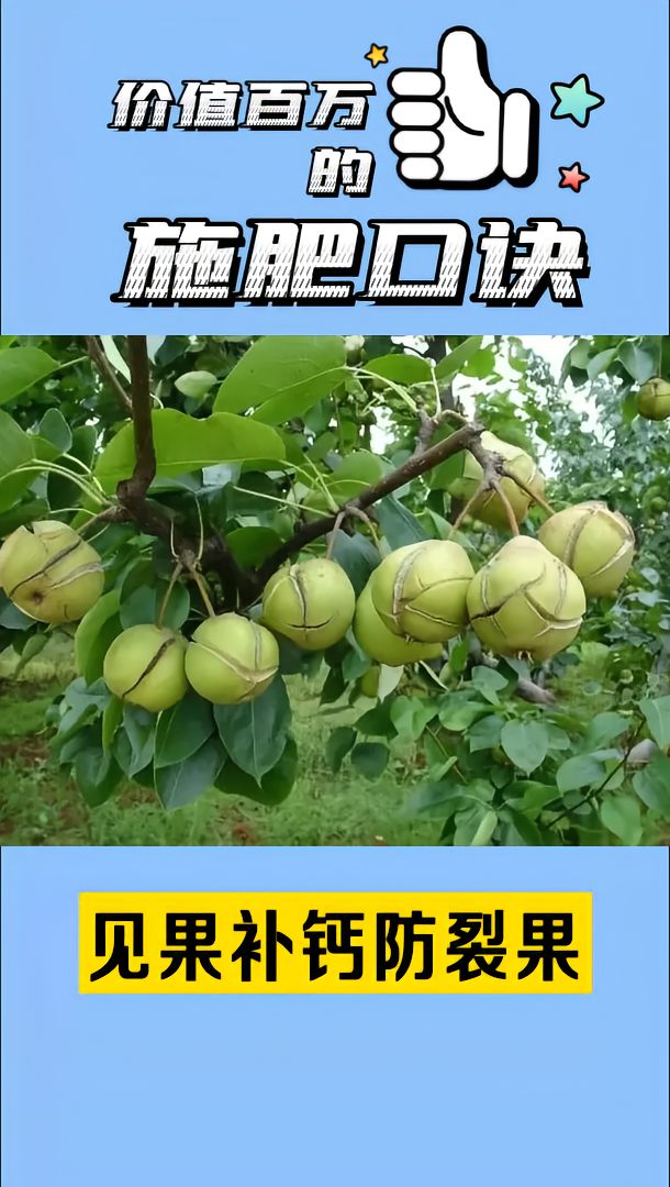 https://static.ixuenong.com/pxn/uploads/prod/thirdfile/2025/05/c2db7011759afda86dbc3b989abd4178.jpg