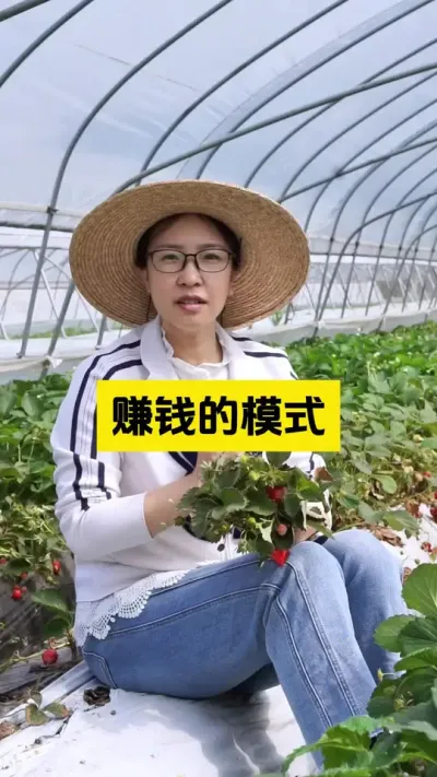 十全十美的草莓品种，真的存在吗？其实我觉得，不管啥品种，能赚到钱的，就是好品种！#启明生物大师姐 #草莓种植管理技术和方法 #新农人计划2025 #2025新农人计划乡村振兴蓝图 #三农