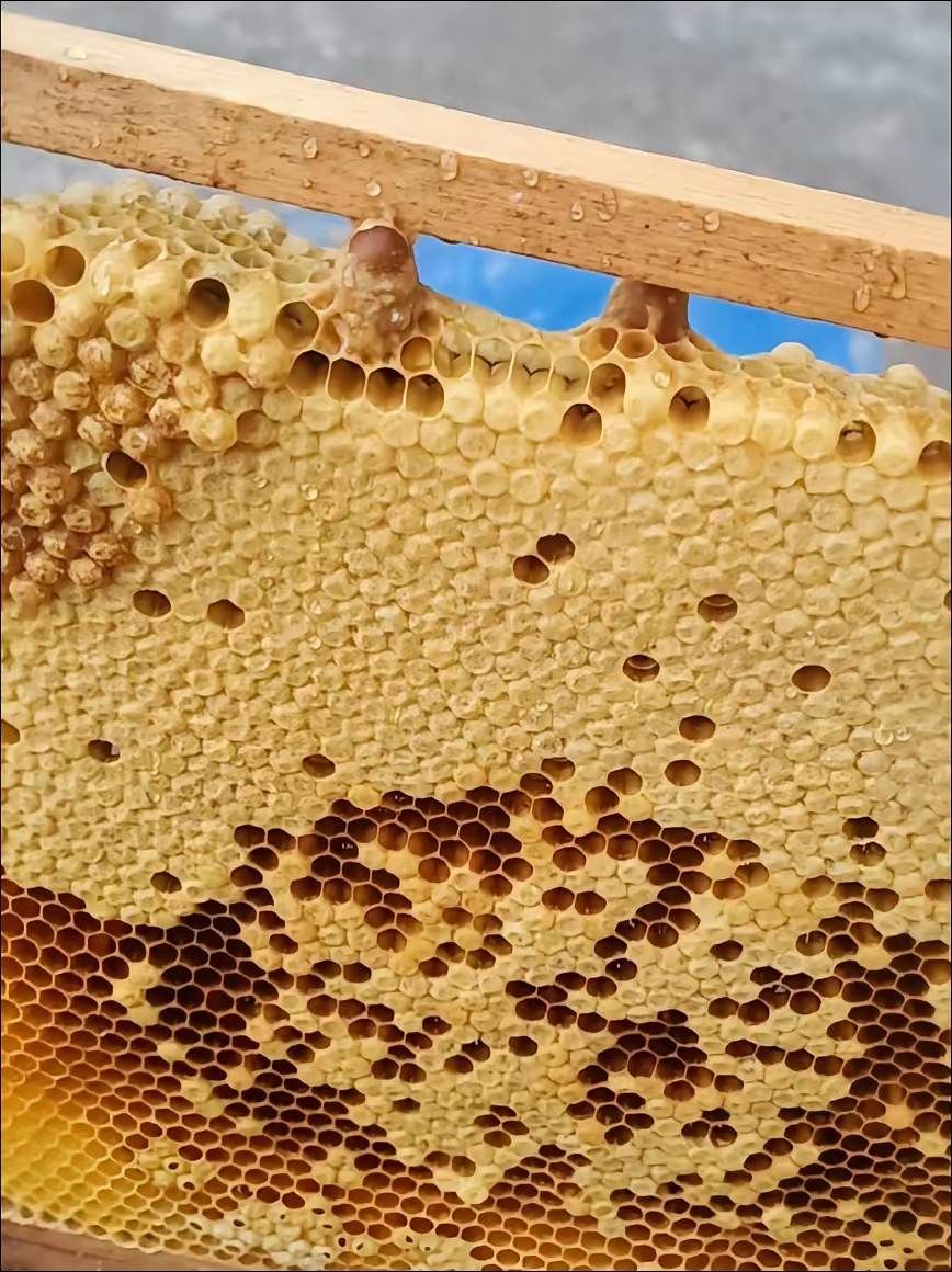 https://static.ixuenong.com/pxn/uploads/prod/thirdfile/2025/05/c47ada8f1061e9c5ab2095477336a9fc.jpg