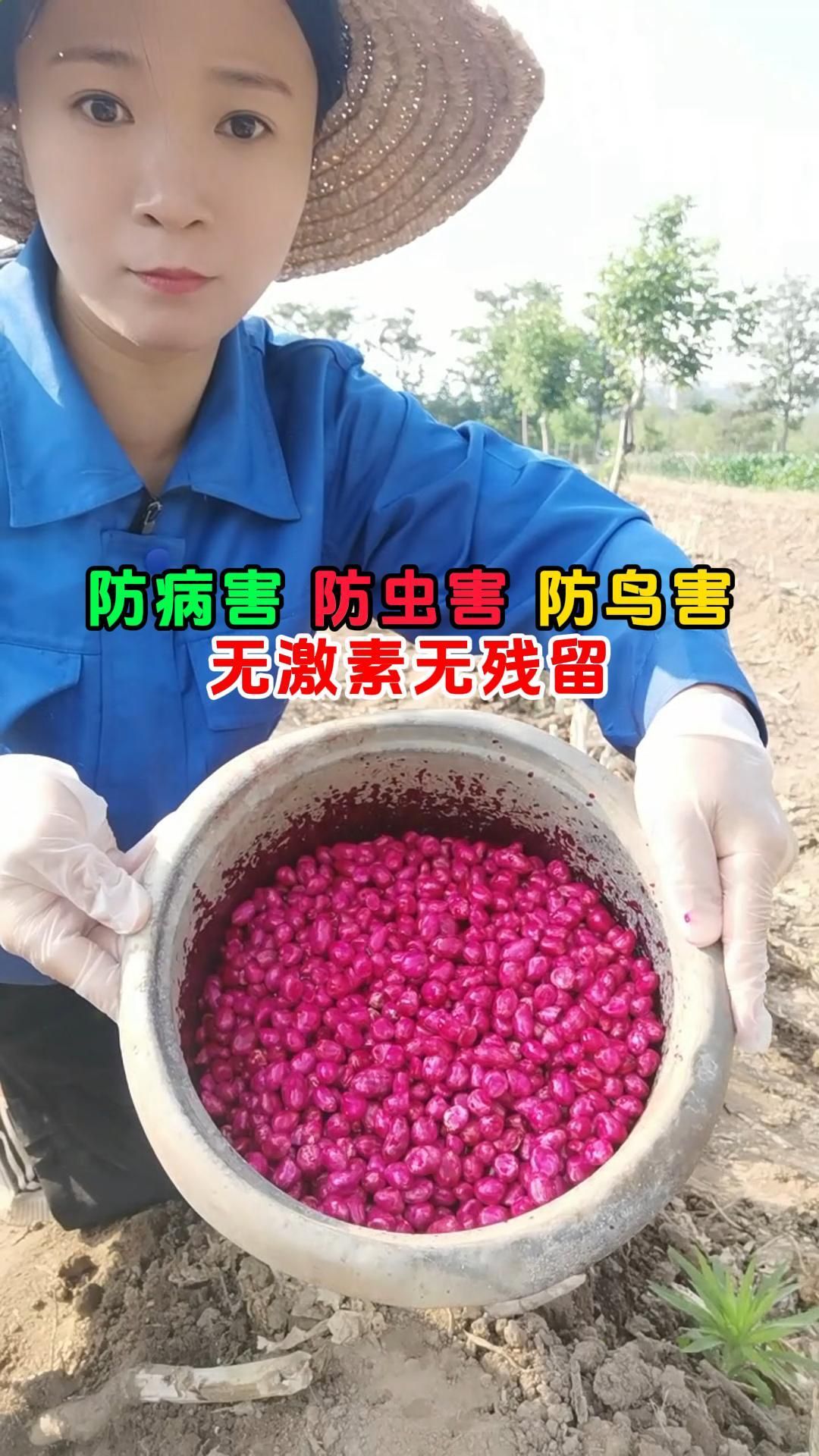 https://static.ixuenong.com/pxn/uploads/prod/thirdfile/2025/05/c47efec6f26cd7d5d94563821450caac.jpg