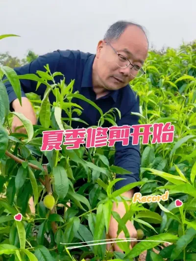  ժ̽#޼֦ #޼