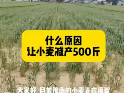 #ũҵ�˻�ũҵ#������ũ#��ũ������2025#С��