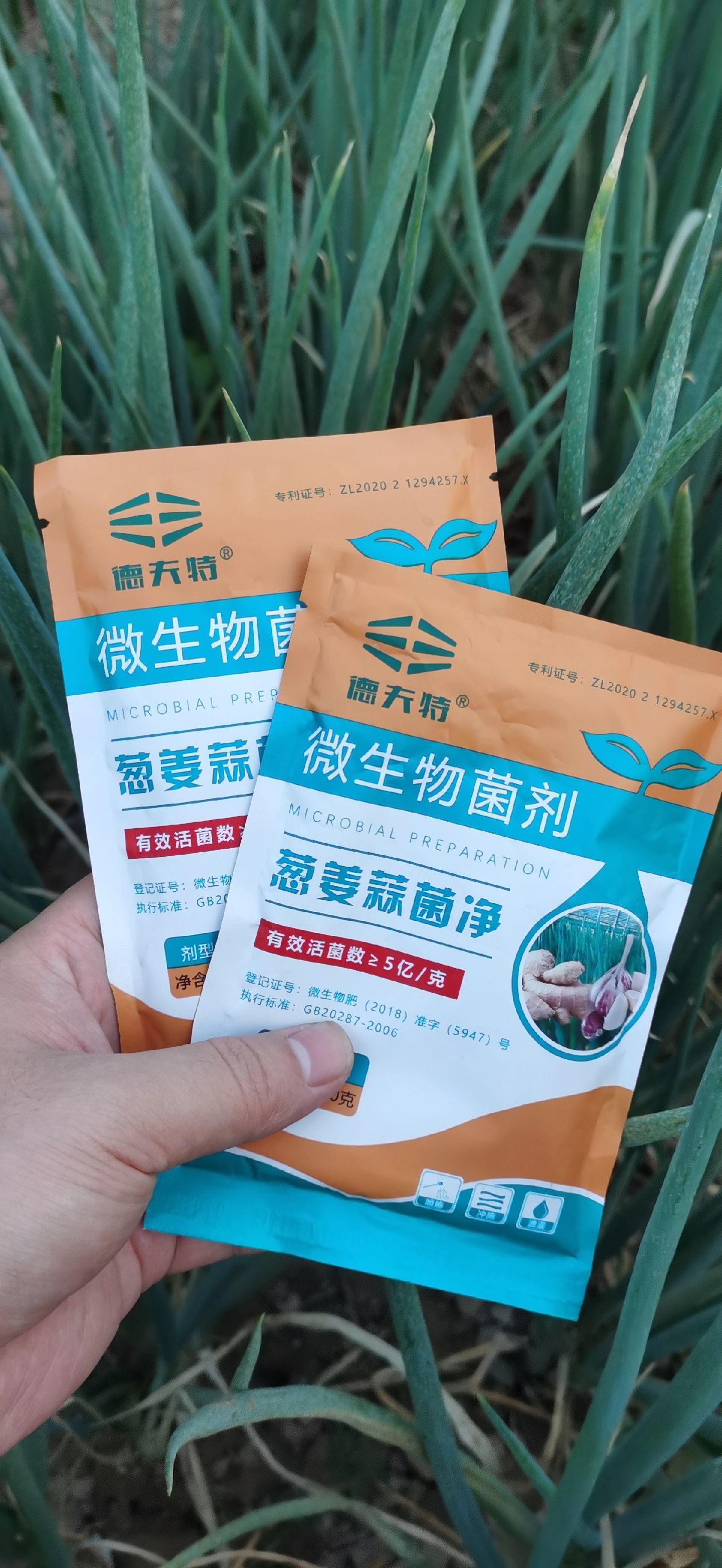 https://static.ixuenong.com/pxn/uploads/prod/thirdfile/2025/05/cde204ee5ffaf77bdc492d58d0114f82.jpg