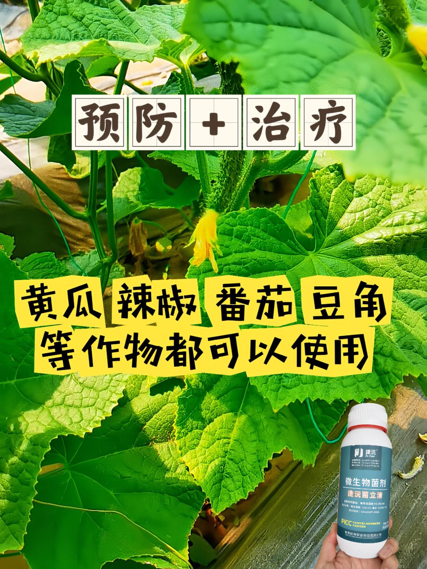 https://static.ixuenong.com/pxn/uploads/prod/thirdfile/2025/05/d0755e65929e17c91a83f45ee2928f54.jpg