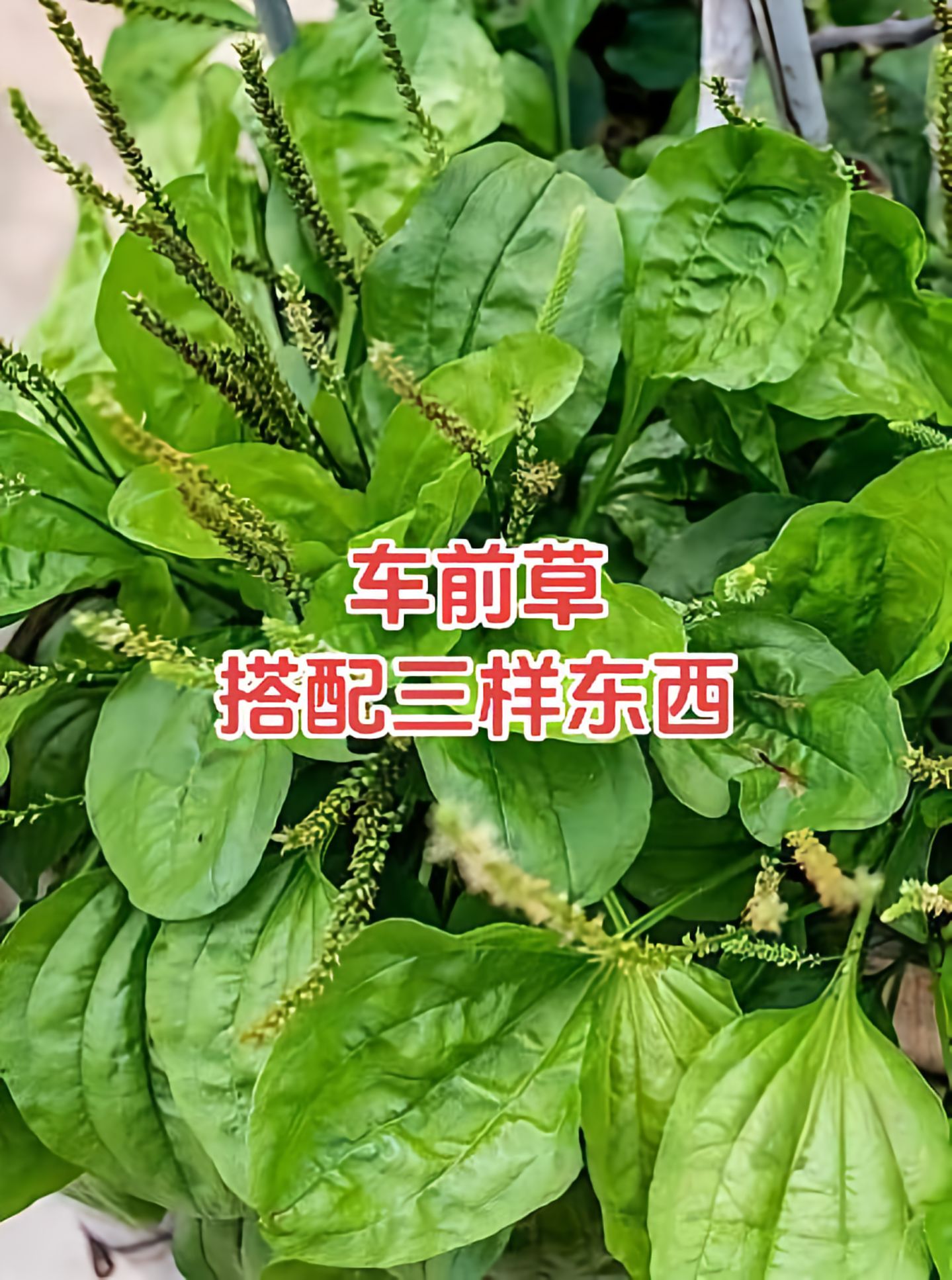 https://static.ixuenong.com/pxn/uploads/prod/thirdfile/2025/05/d0bb257e48d035ee9684bff007a58632.jpg