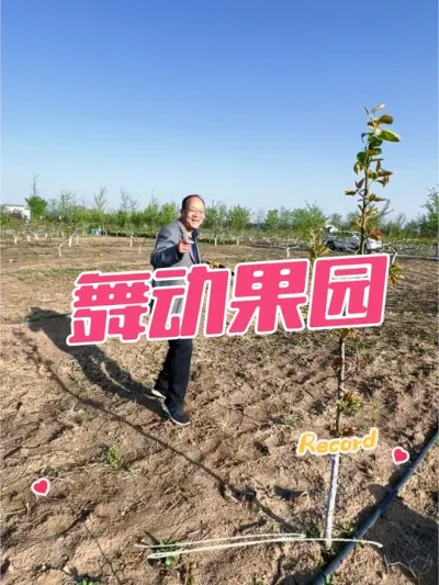 趯԰ ֦ѿժܿӦõҪ#趯 #԰