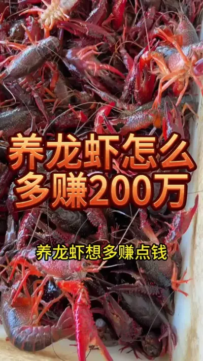 ϺֳҪ׬200⼸Ҫ#ũ #ũҵ #СϺ #ʢ #2025ũ