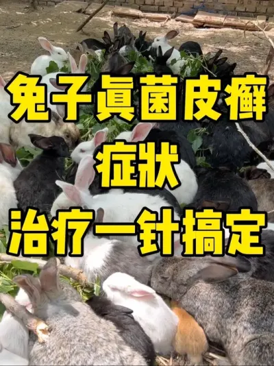 ƤѢѬȾԤ #ֿ߷ֿ #ע #С #ѬȾ #Ƥ