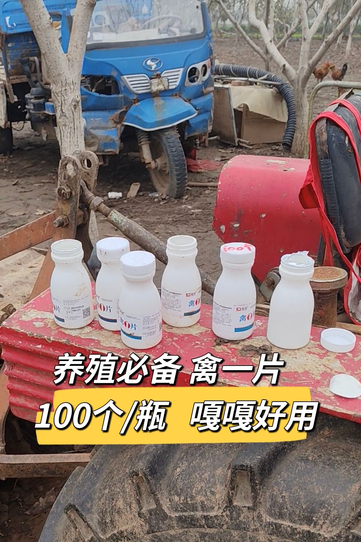 https://static.ixuenong.com/pxn/uploads/prod/thirdfile/2025/05/d20efcf364caeb4ae0f744dc049c2adc.jpg