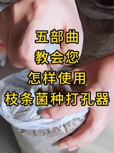 岽̻ʹִ֦#ƽݪֲ # #ִ