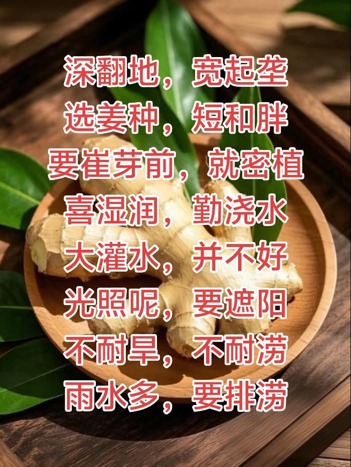 https://static.ixuenong.com/pxn/uploads/prod/thirdfile/2025/05/d662b072975663daabee2e8e25f16dec.jpg