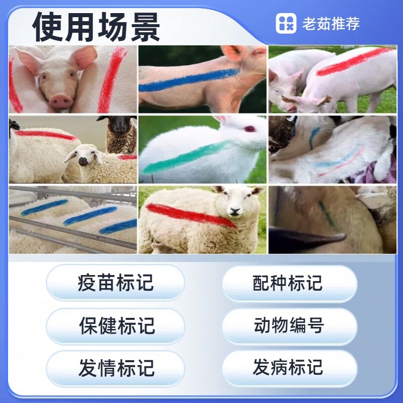 https://static.ixuenong.com/pxn/uploads/prod/thirdfile/2025/05/d700161cf9e2296d6bb3fc540f04cb85.jpg