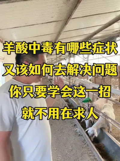 �����ж�����ô��#�����ж� #�����ж�һ�н�� #ţ����ֳ #������ֳ