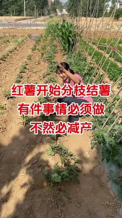 ֦鲻ؼ#ݪֲ ##ʩ#߲#