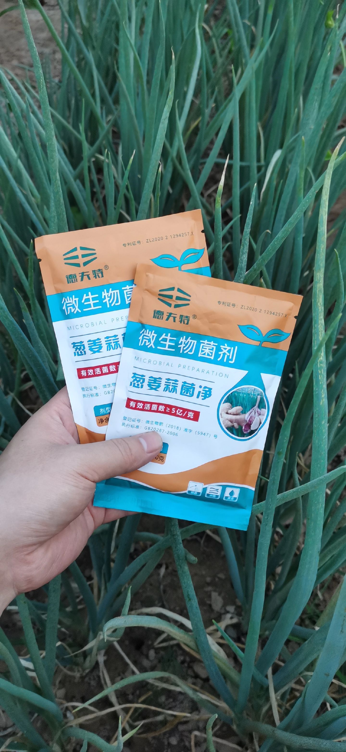 https://static.ixuenong.com/pxn/uploads/prod/thirdfile/2025/05/d86c44ef914da3b98e47da031a499a85.jpg