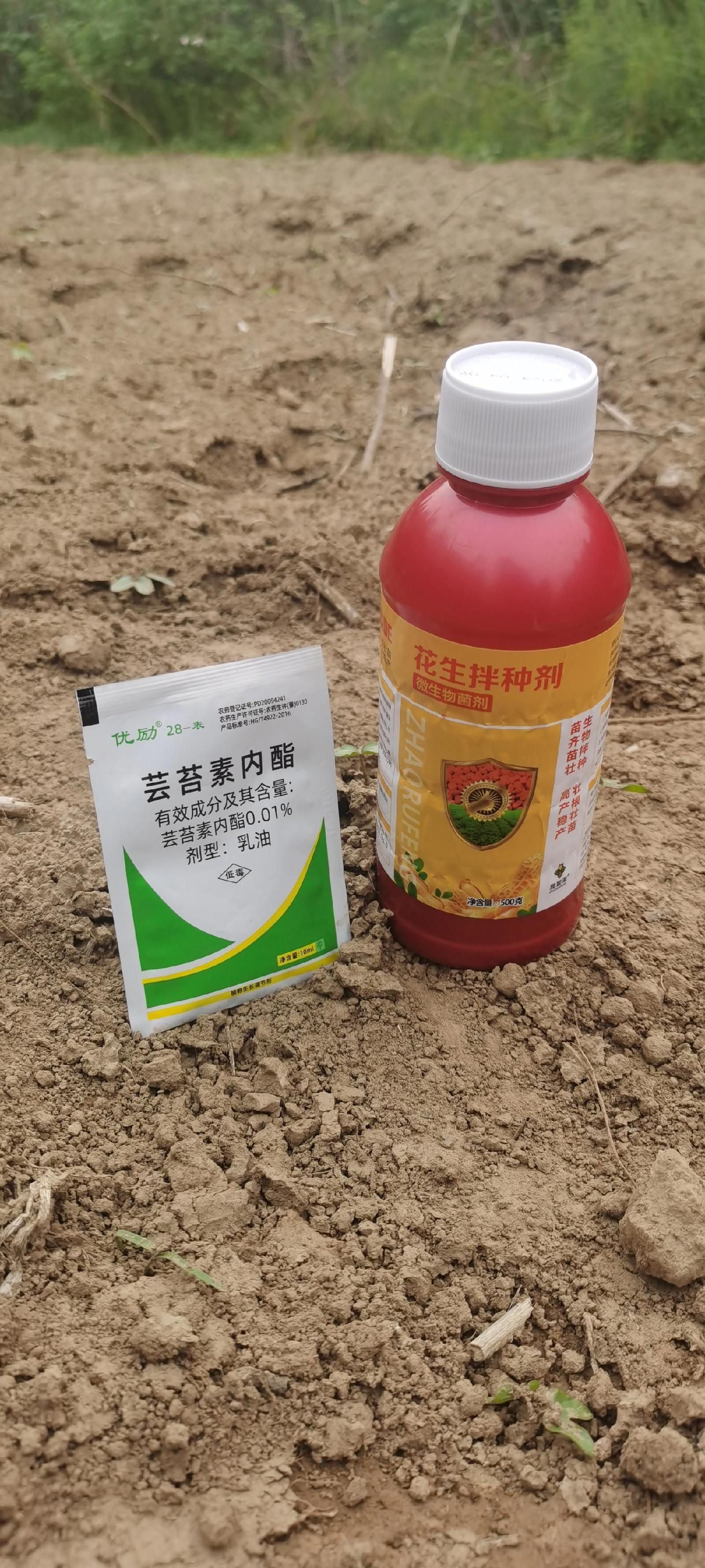 https://static.ixuenong.com/pxn/uploads/prod/thirdfile/2025/05/dc8a36e3a2c38000593bd93029d6d66b.jpg