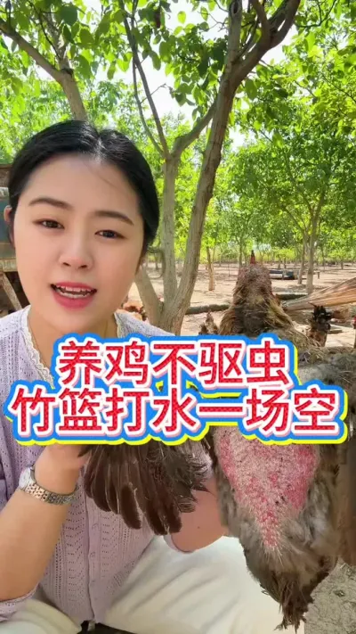 #科学养鸡#散养土鸡#养鸡妙招#鸡鸭鹅养殖#养鸡