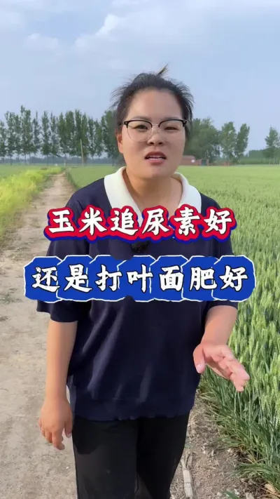 玉米追肥好，还是追尿素好#玉米 #农业种植 #玉米种植 #三农 #玉米增产