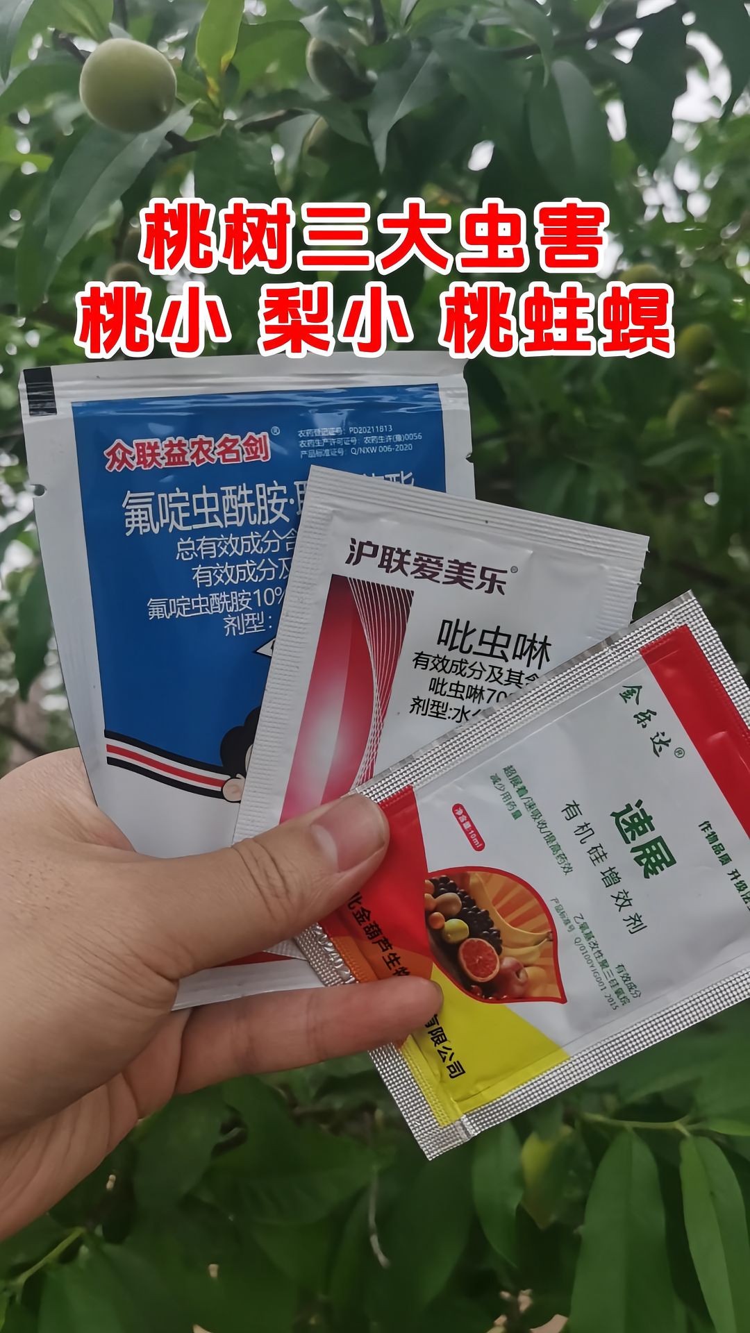 https://static.ixuenong.com/pxn/uploads/prod/thirdfile/2025/05/dec145ee6043f08e21e12fbd9ee1952a.jpg