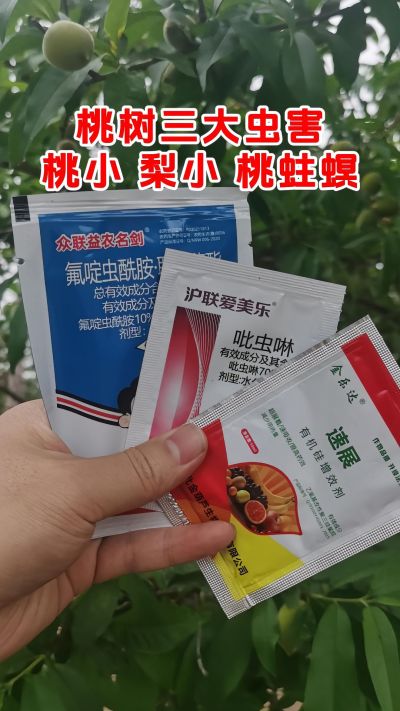 ʳĳר䷽ͳͳһ䷽# # # #溦 #֧ũũ