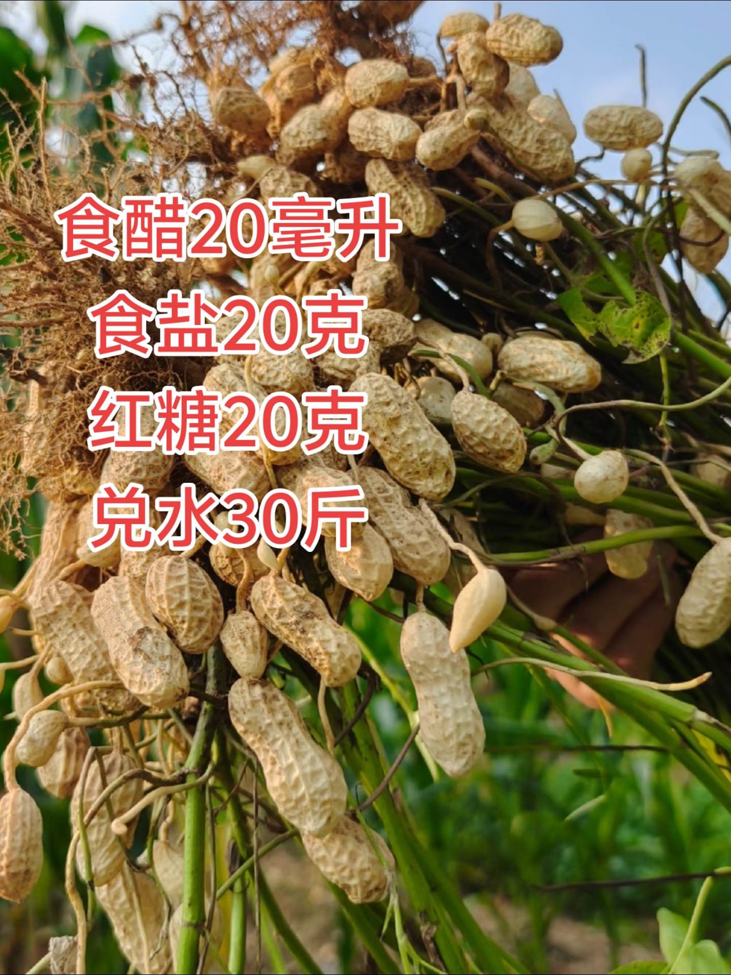https://static.ixuenong.com/pxn/uploads/prod/thirdfile/2025/05/df6b867eaabe9d5b529202abfba6b393.jpg