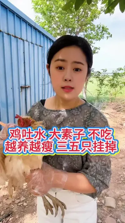 #鸡鸭鹅养殖 #抖音养鸡人 #服务三农支持三农 #散养土鸡