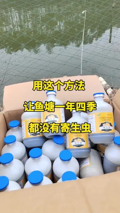 高温低温天气都可以用的佰乐清#鱼虾蟹养殖 #高密度养殖 #特种水产养殖 @抖加🔥上热门🔥dou+🔥热点宝 @DOU+小助手