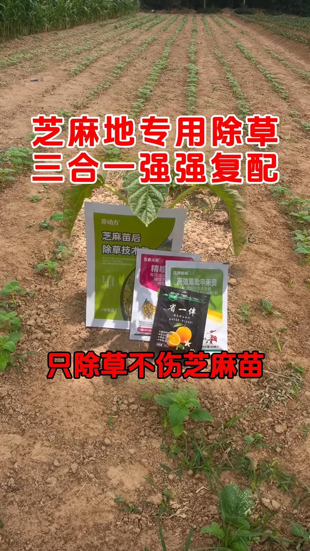 https://static.ixuenong.com/pxn/uploads/prod/thirdfile/2025/05/e39b91d442bc69f09c20250cf2ca5704.jpg