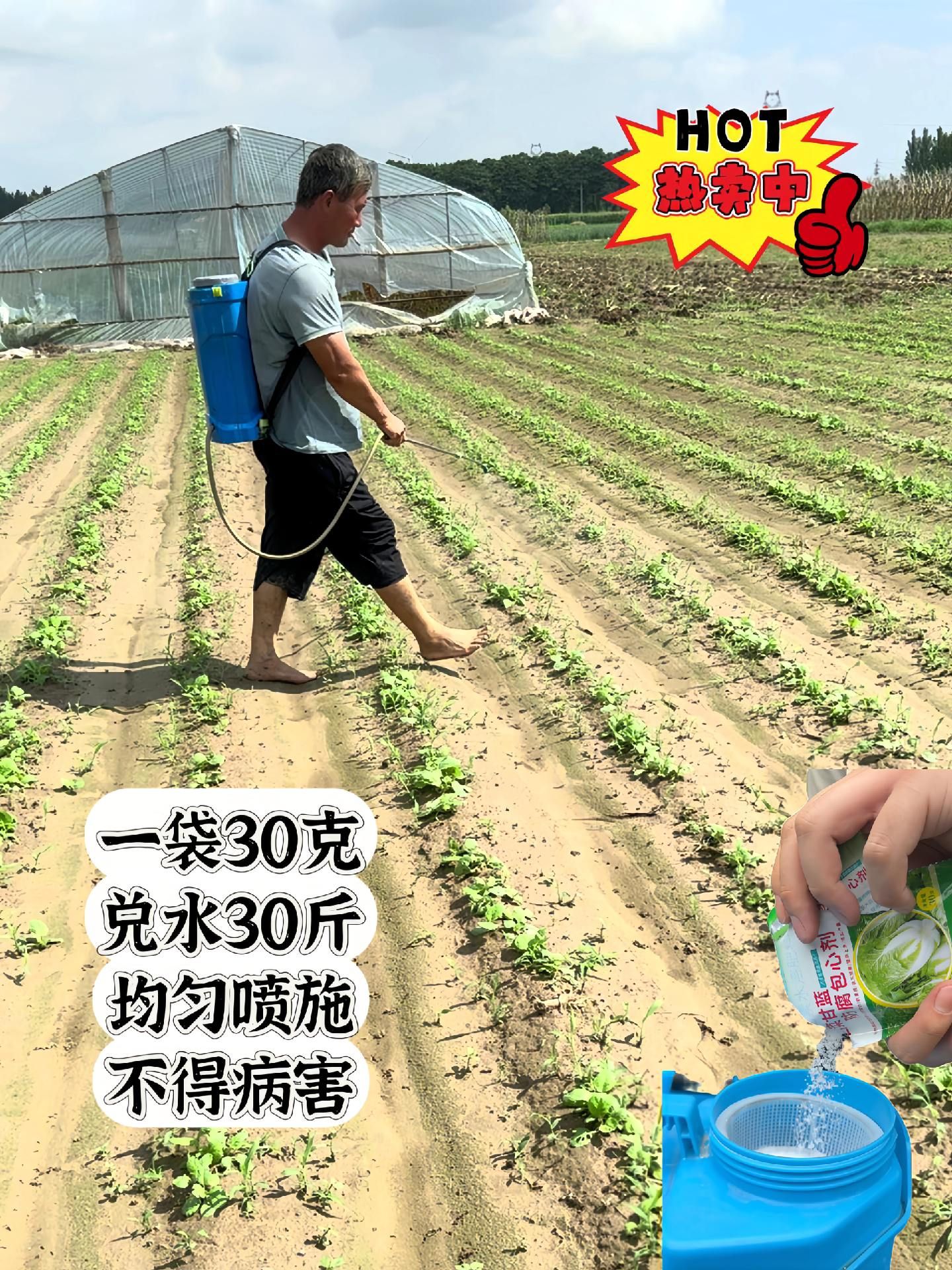 https://static.ixuenong.com/pxn/uploads/prod/thirdfile/2025/05/e4468981f7214cd22e94274e6c6b858c.jpg