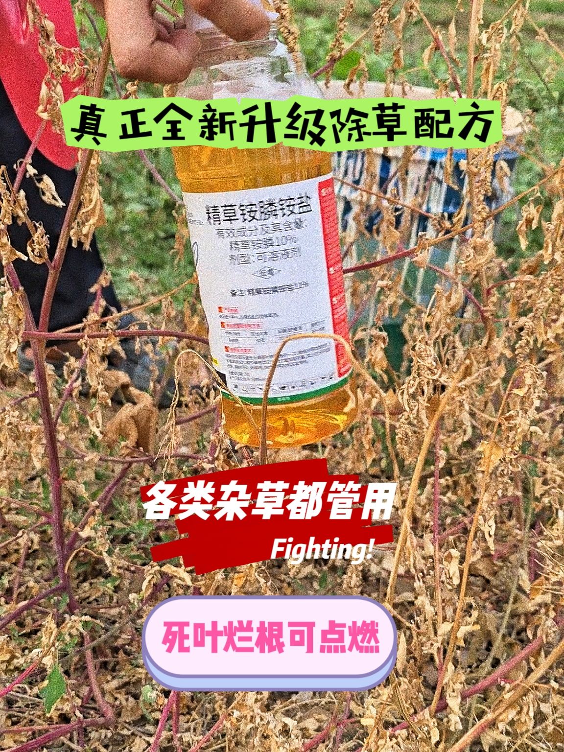 https://static.ixuenong.com/pxn/uploads/prod/thirdfile/2025/05/e6f82c941952cf08f4db195ac102f8e8.jpg