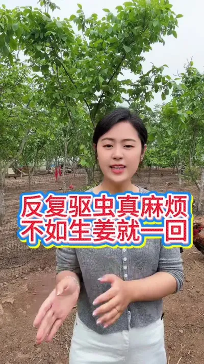 #科学养鸡 #鸡鸭鹅养殖 #服务三农支持三农 #抖音养鸡人 #养鸡妙招