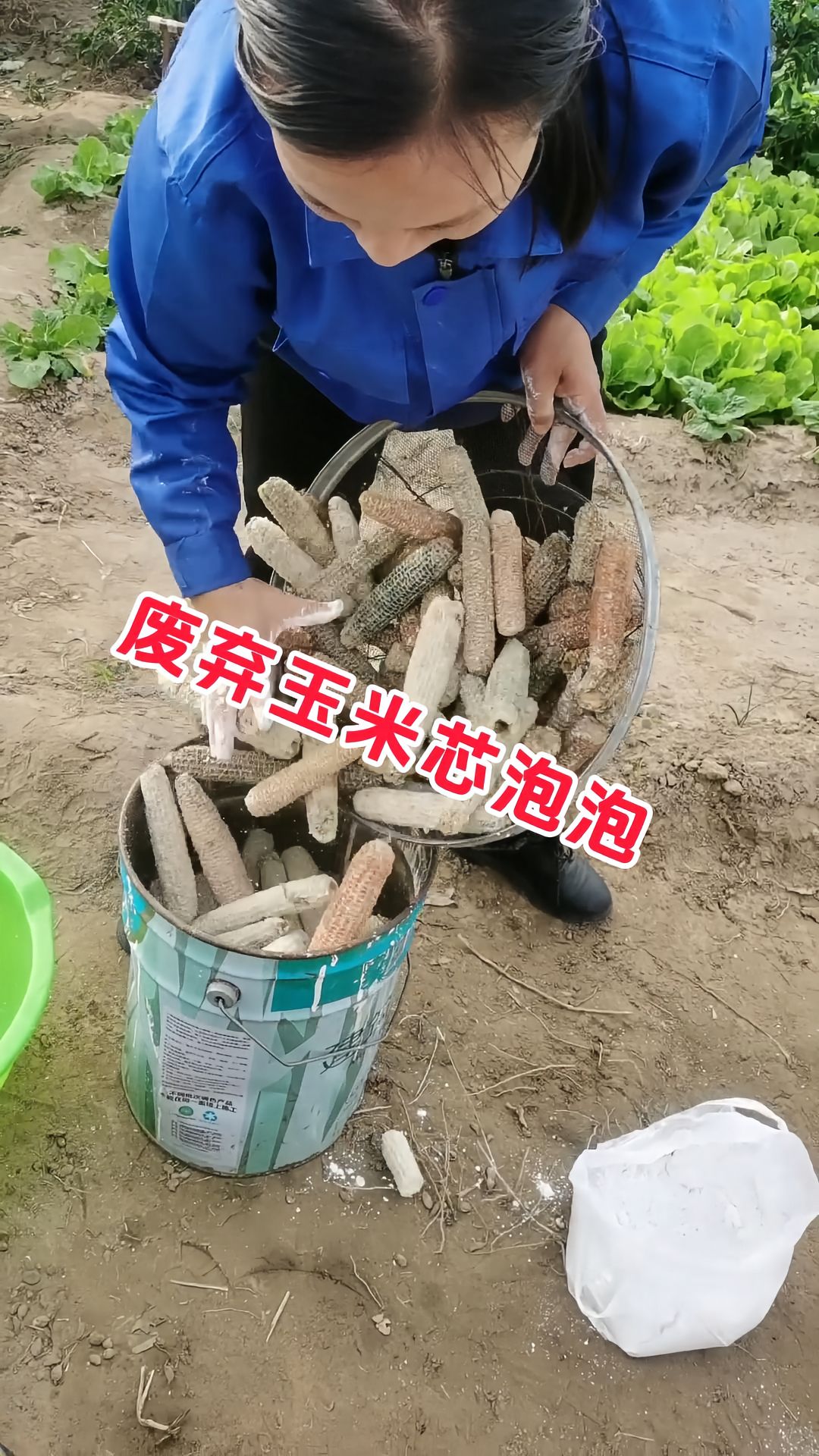 https://static.ixuenong.com/pxn/uploads/prod/thirdfile/2025/05/e7d6f68909d350fb2f2cb4085b41719c.jpg