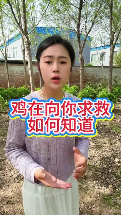 #科学养鸡 #服务三农支持三农 #抖音养鸡人 #鸡鸭鹅养殖 #散养土鸡