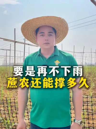要是不下雨，蔗农还能撑多久#农业种植 #甘蔗种植 #种植小技巧 #三农 #农业种植