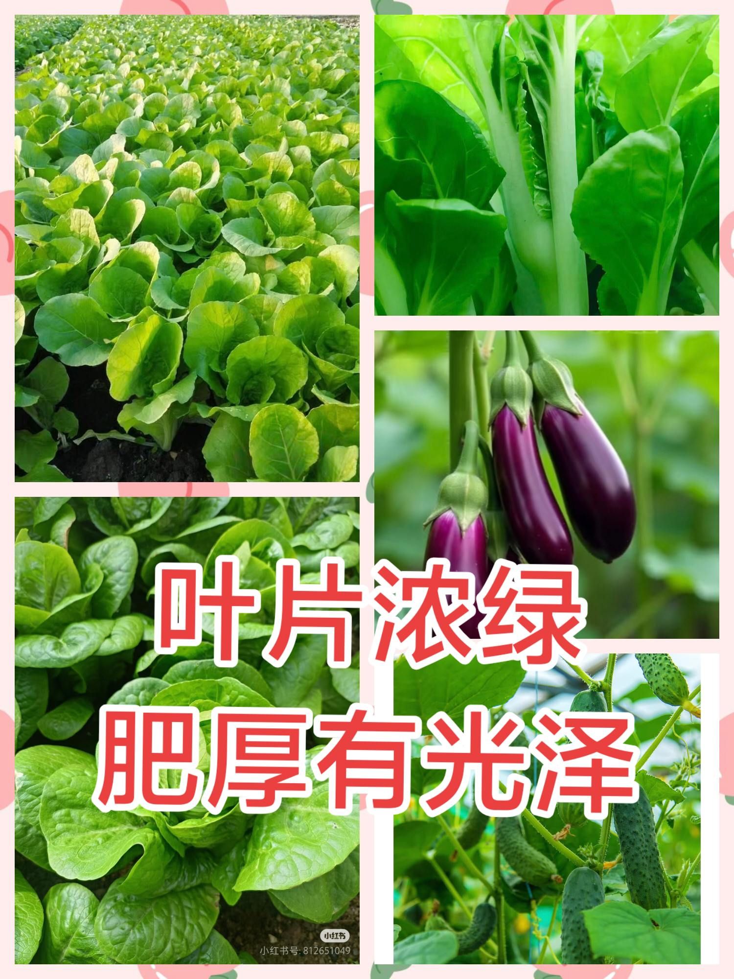 https://static.ixuenong.com/pxn/uploads/prod/thirdfile/2025/05/edae491d80895027b580a1d4687ce992.jpg