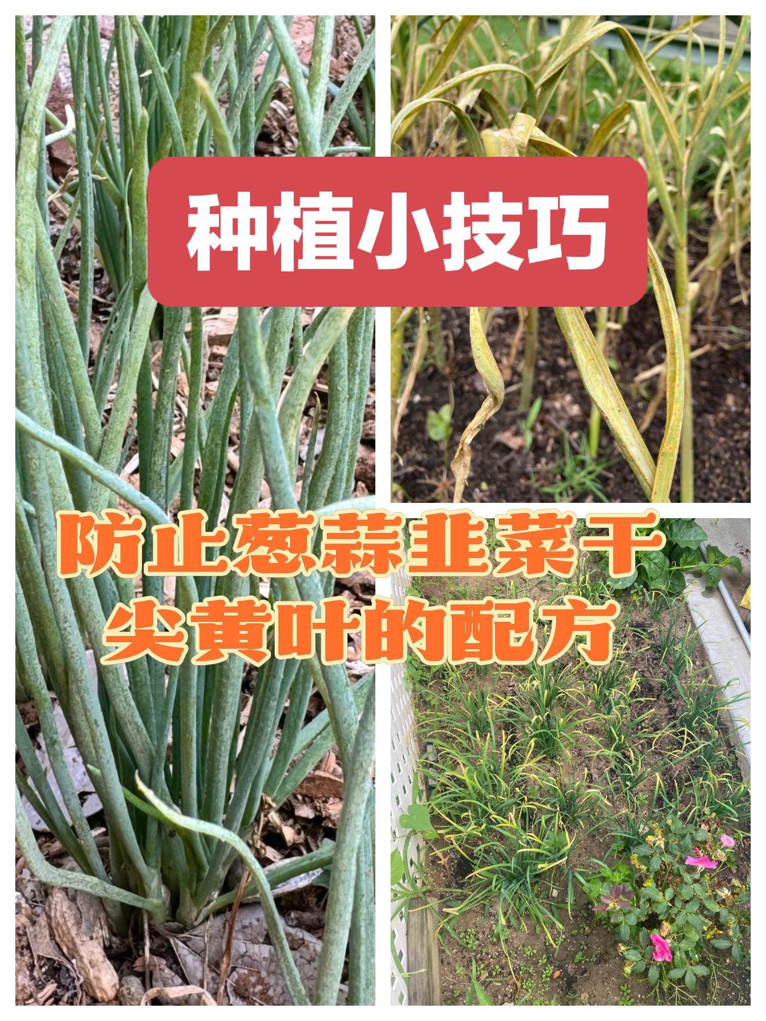 https://static.ixuenong.com/pxn/uploads/prod/thirdfile/2025/05/ee059735e035e06a5cf7551c661c2395.jpg