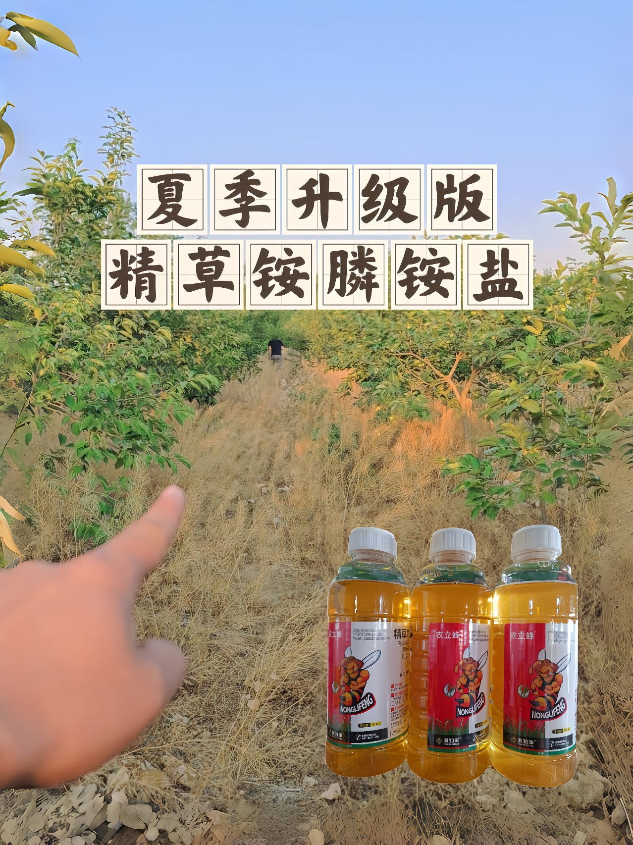 https://static.ixuenong.com/pxn/uploads/prod/thirdfile/2025/05/eed9da033b2a88148f8d03b35b360f3c.jpg