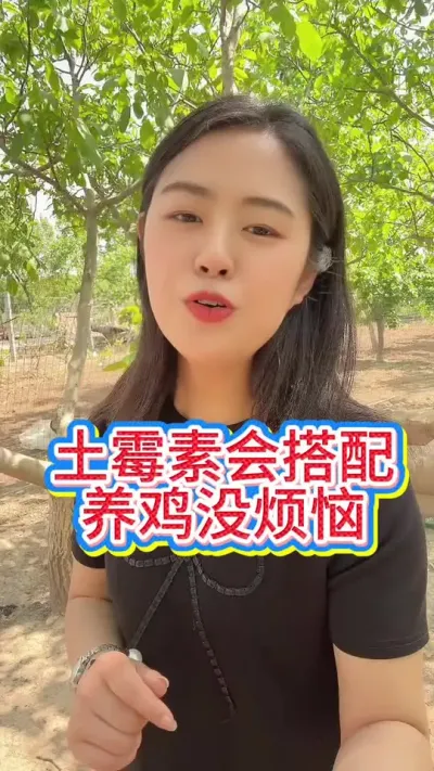 #服务三农支持三农 #科学养鸡 #抖音养鸡人 #鸡鸭鹅养殖 #养鸡场