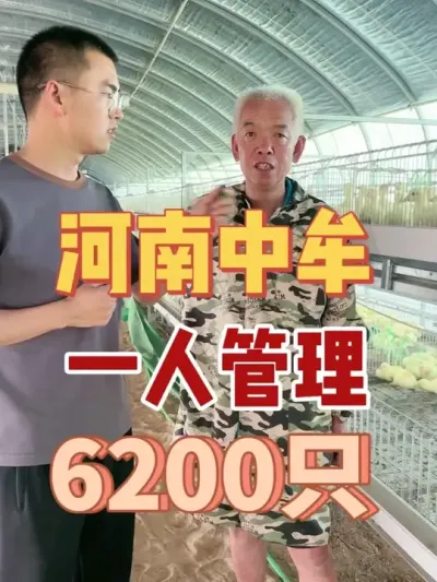 ������Ĳ��һ�˹���6200ֻ����ȫ�Զ�������װ��������ʡ��ʡ����ʡ?��#�������շ��� #������ #��������������