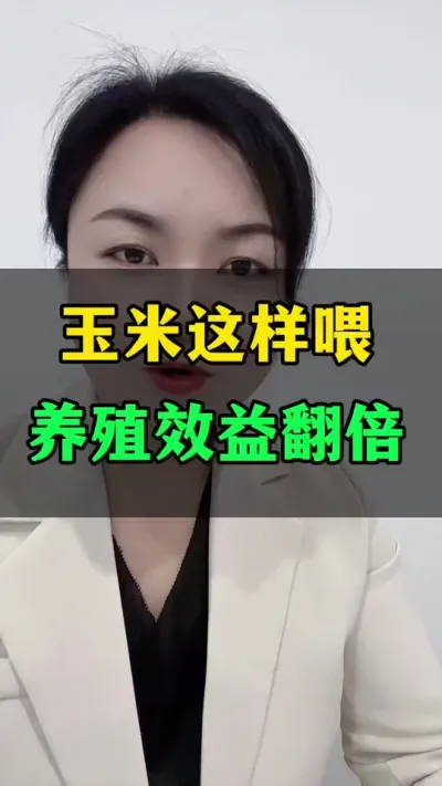 玉米这样喂，养殖效益翻倍#科学喂养 #养殖人 #牛羊养殖 #养殖小知识