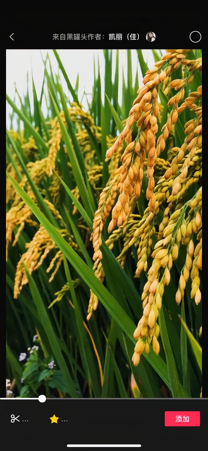 https://static.ixuenong.com/pxn/uploads/prod/thirdfile/2025/05/f2e2d8e4764deee0093e2904789b728a.jpg