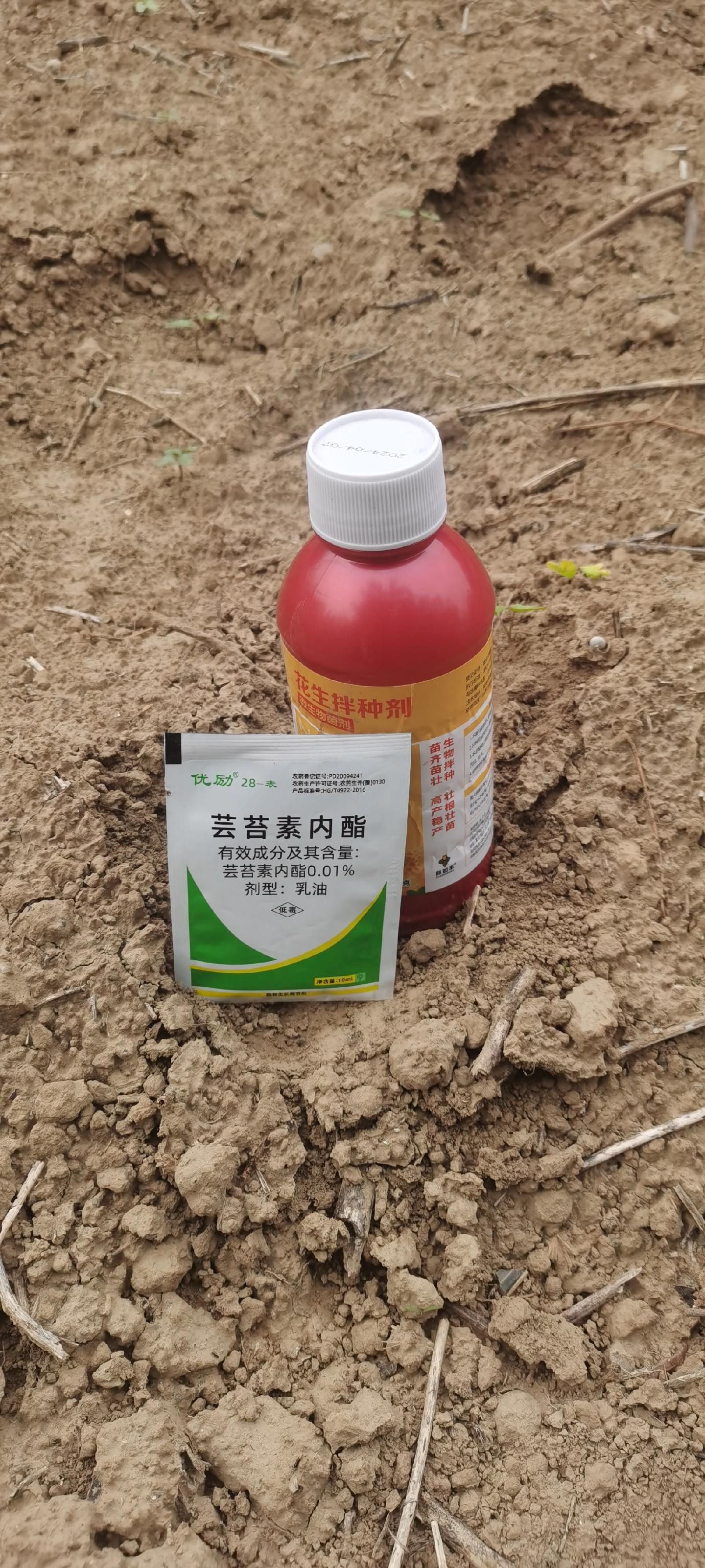 https://static.ixuenong.com/pxn/uploads/prod/thirdfile/2025/05/f372d7b46bec10ebb45539c91510105f.jpg