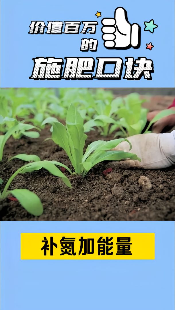 https://static.ixuenong.com/pxn/uploads/prod/thirdfile/2025/05/f6d2d4cd5b68601e6d9f011772c5ded5.jpg