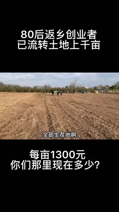 #土地流转 #三农 #农业莳植 #抖音助农 #抖音热门 #墟落致富带动人 #抖音创作 #苗圃 土地承包越来越贵了，你知道为什么吗？