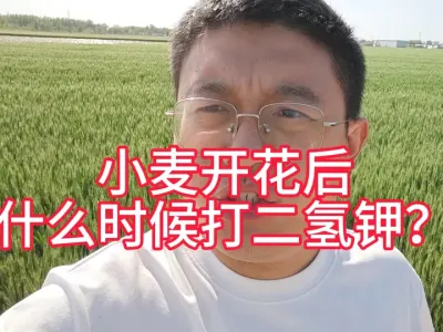 СཬʩزŻʵ50