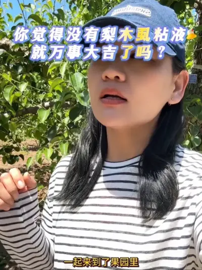 很多果农朋友认为果园里没有梨木虱粘液了，干净了，这是个大误区！#来抖音学农技 #梨树#果树管理 #梨木虱 #果农