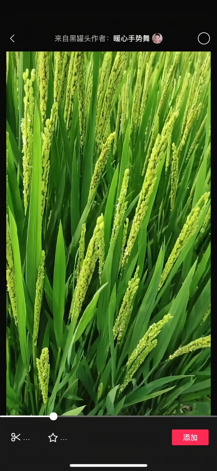 https://static.ixuenong.com/pxn/uploads/prod/thirdfile/2025/05/fe2d04e2474406942d8d081b6ff3321f.jpg