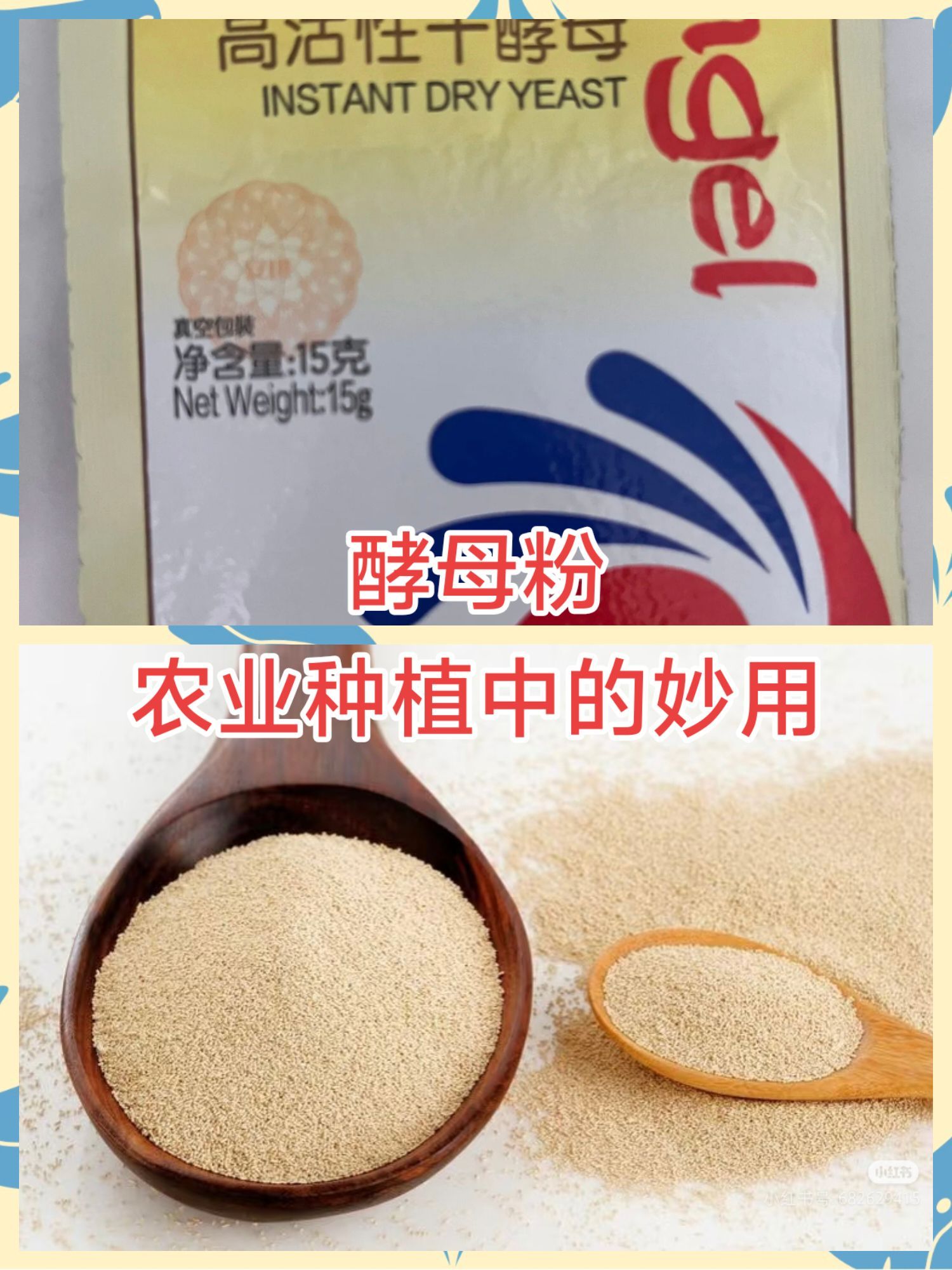 https://static.ixuenong.com/pxn/uploads/prod/thirdfile/2025/05/fe4bfb625389ace9c79b080f0e40bc4c.jpg